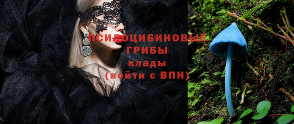 таблы Алексин